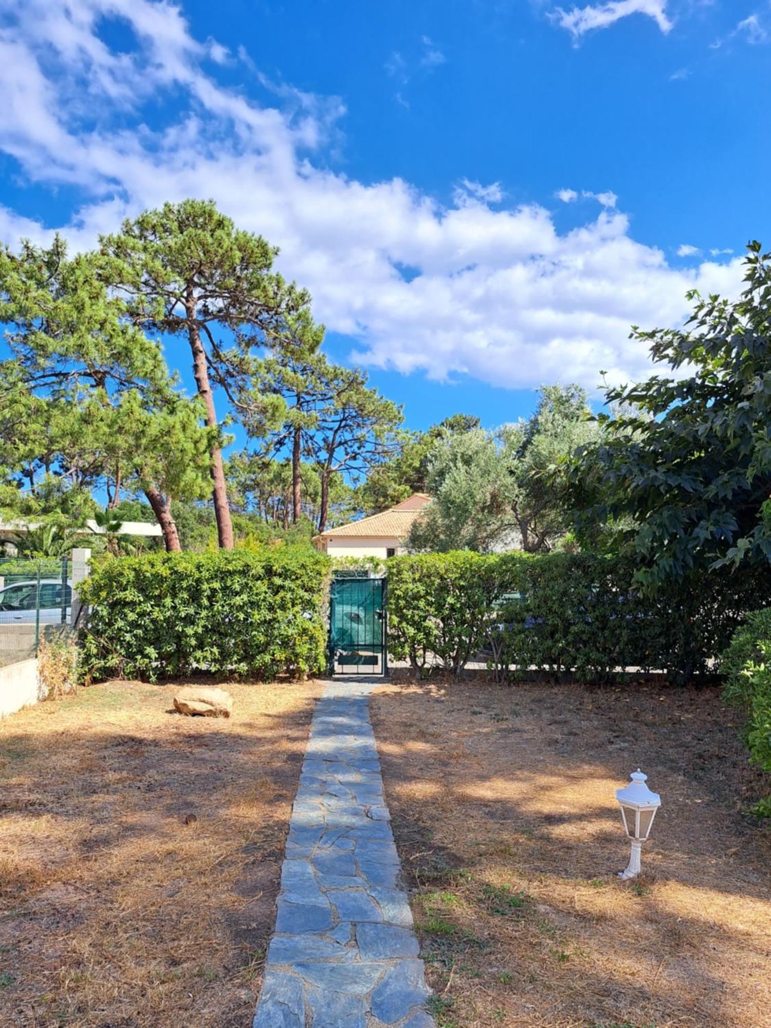 Mini Villa Jardin 50 M Plage Borgo  Exterior photo